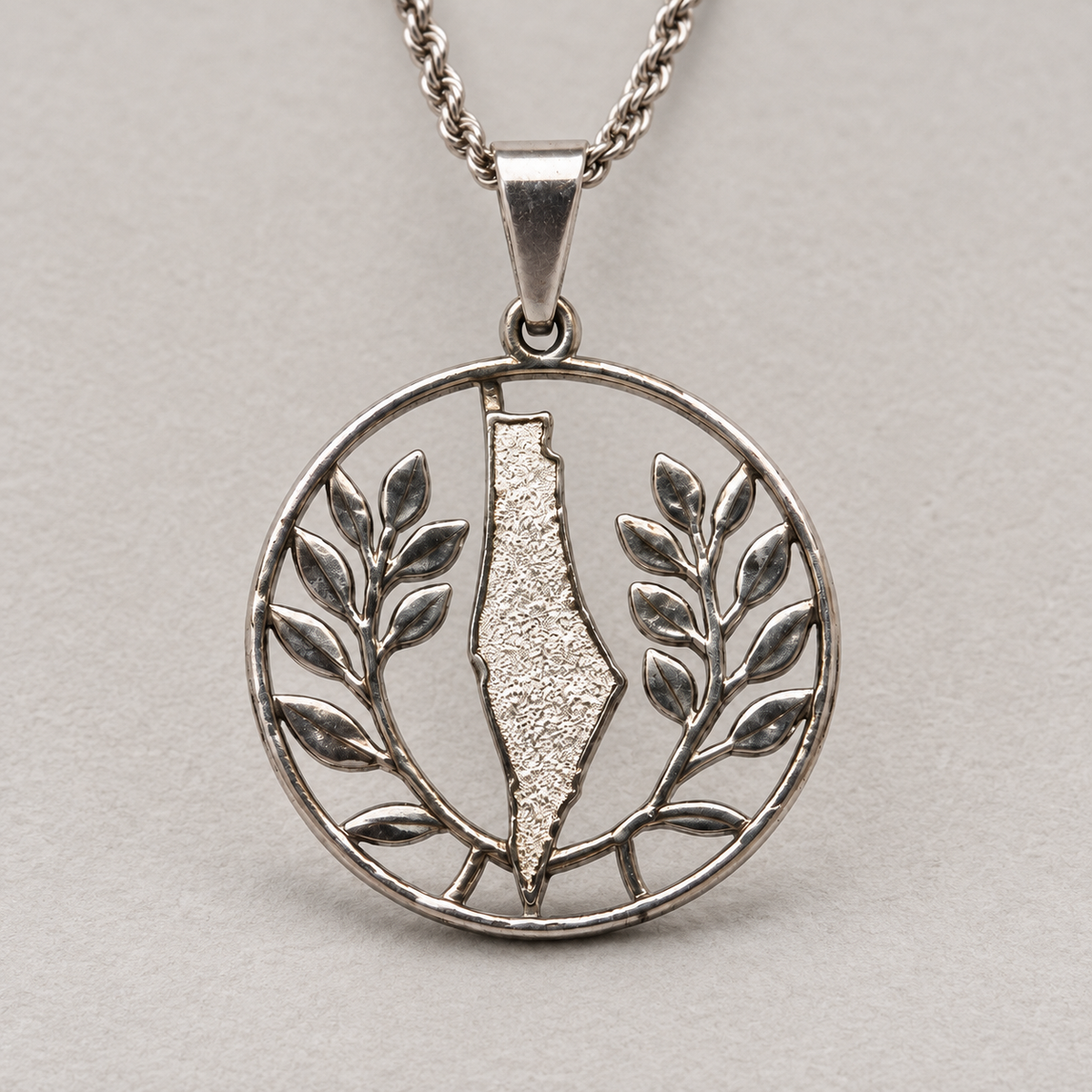 Palestine Map & Olive Branch Circle Necklace – Silver Tone — detail of the visible front design.