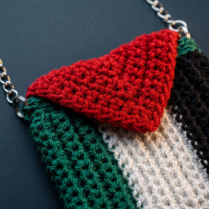 Hand-Crocheted Palestine Flag Crossbody Pouch | Silver Chain Strap