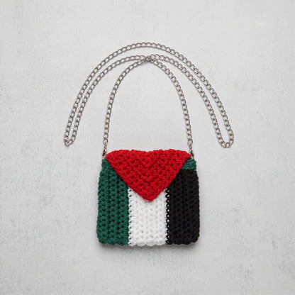 Hand-Crocheted Palestine Flag Crossbody Pouch | Silver Chain Strap