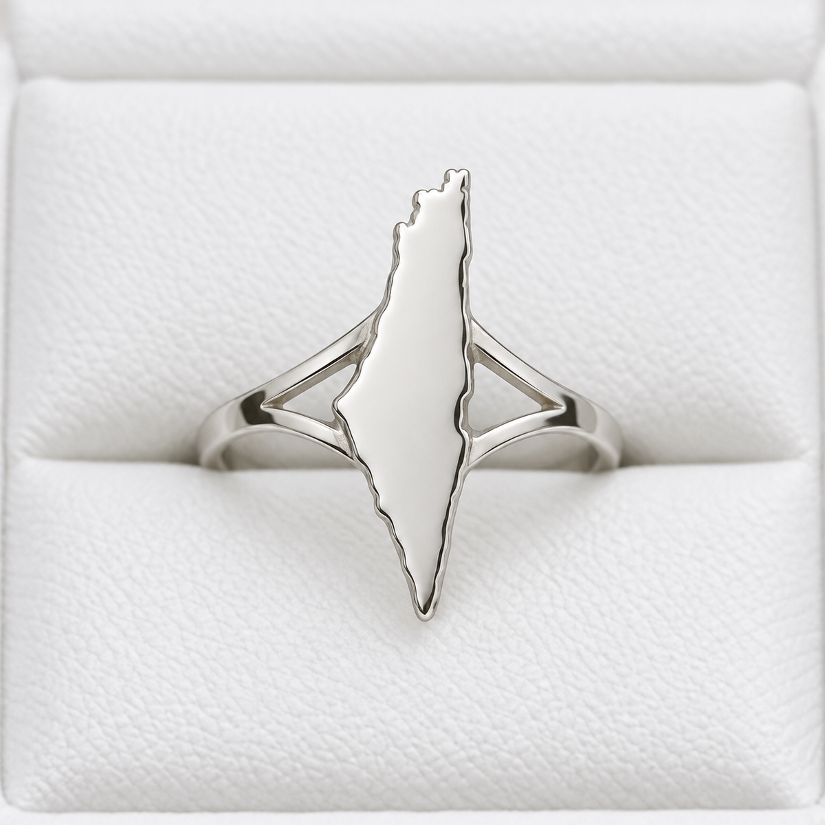 Solid Palestine Map Ring – Silver Tone — full product view.
