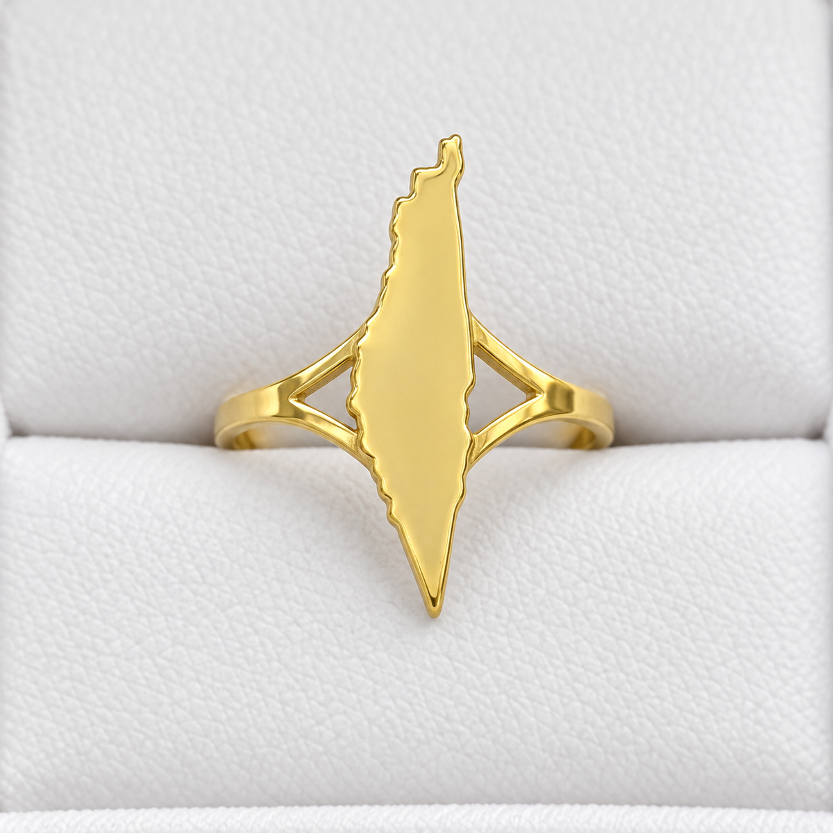 Solid Palestine Map Ring – Gold Tone — full product view.