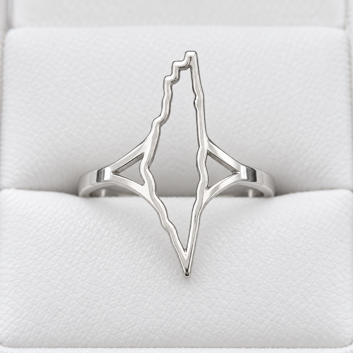 Open Palestine Map Ring – Silver Tone — full product view.